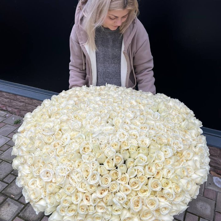 501 белая роза в корзине в Чите