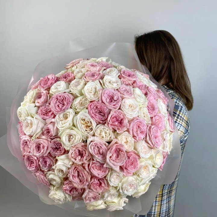 101 роз Охара в Чите