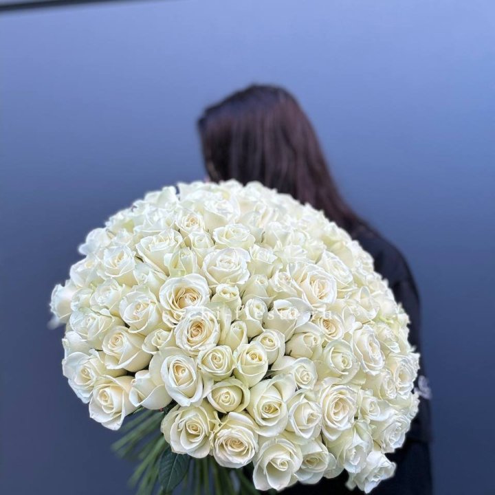 Охапка из 101 белой розы  в Чите