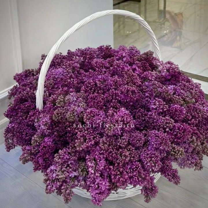 Корзина сирени в Чите