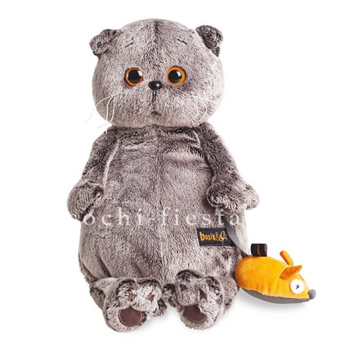 Кот Басик с мышкой в Чите