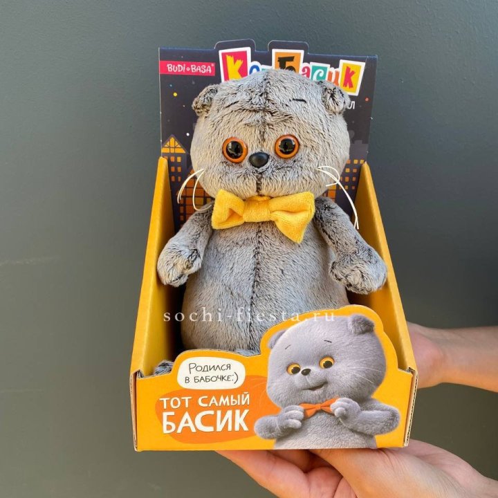 Кот Басик с бабочкой в Чите