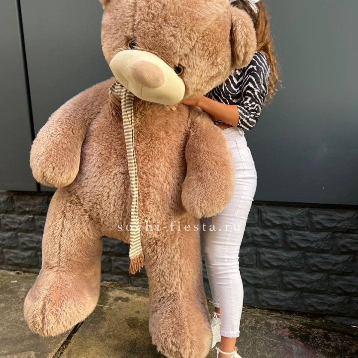 Плюшевый мишка большой в Чите