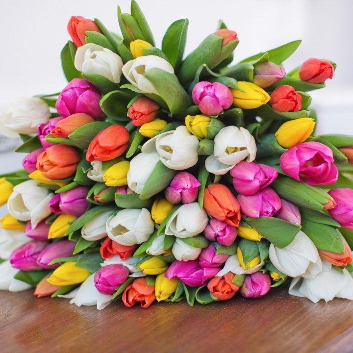 79 тюльпанов "Рандом" в Чите