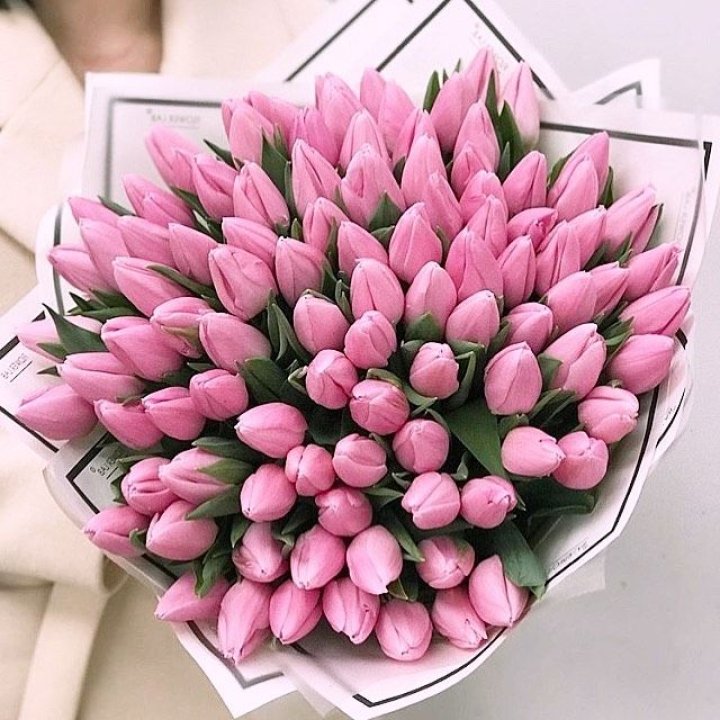 101 розовый тюльпан в белом в Чите