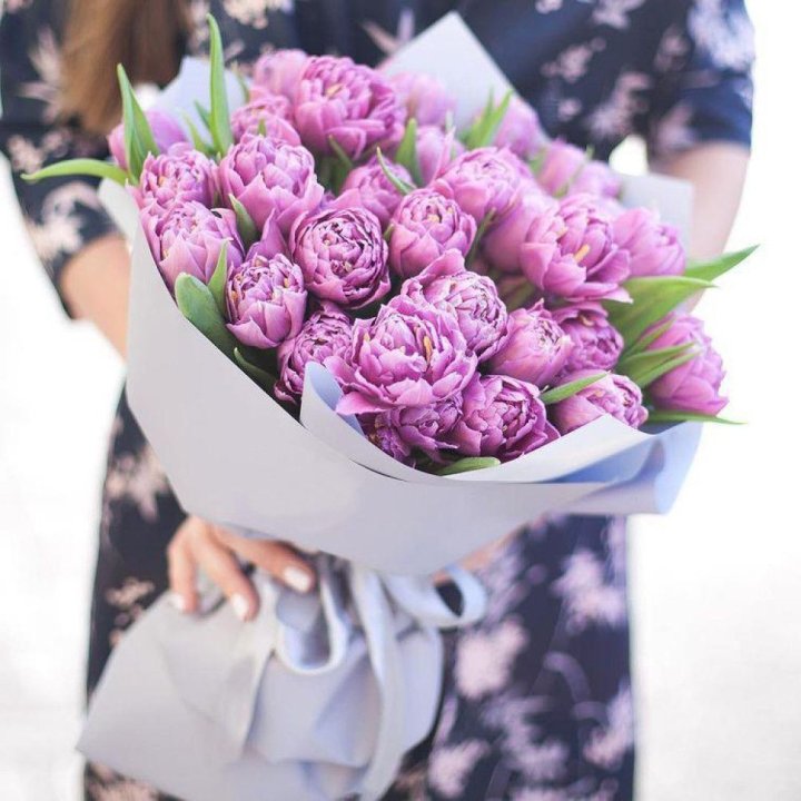 Тюльпаны "Пионс" в Чите