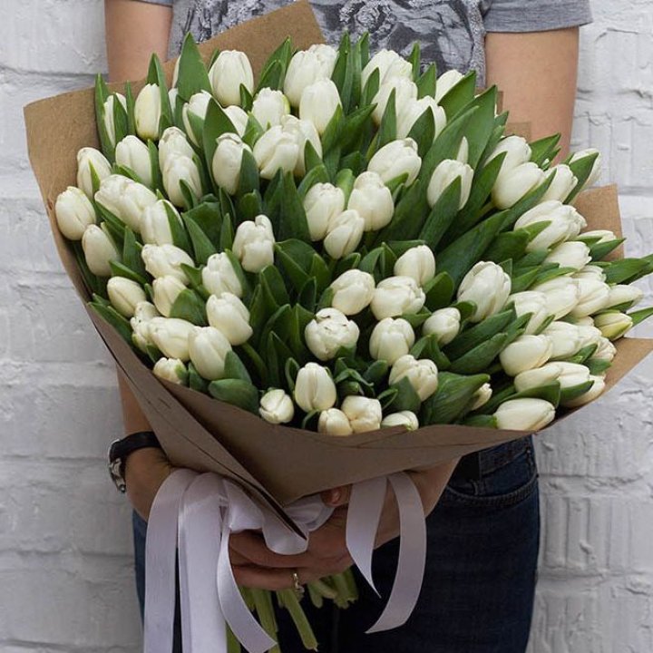 101 тюльпан сноу в Чите