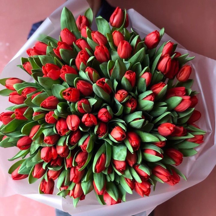 101 красный тюльпан в Чите